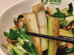 -绿草地·湘菜(7mall店)