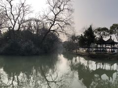 景点-盆景园(扬州大运河文化旅游度假区)