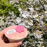 樱花提拉米苏🌸武汉的春日限定粉