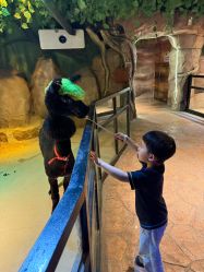 -酷嗒动物文化乐园(cutezoo西溪乐天城店)