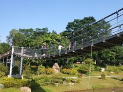 -东莞植物园