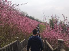 -重庆悦来温德姆酒店