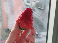 -国家会议中心大酒店