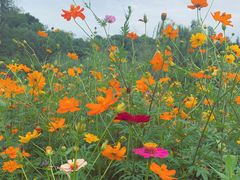 -白鹭湾湿地公园