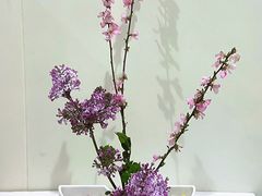 -今日陶艺(富力广场店)