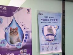 -半岛宠物医院24小时(科华中路店)