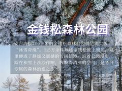 -阿露佳·舌尖上的安吉菜