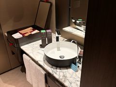 -新加坡瑞士史丹福酒店