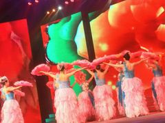 -南风大剧院莎梦二人转剧场