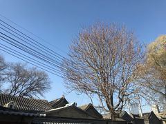 -簋街仔仔小龙虾(总店)