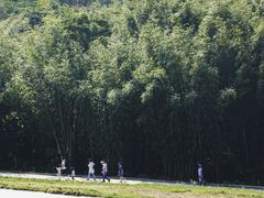 -广州市白云山风景名胜区