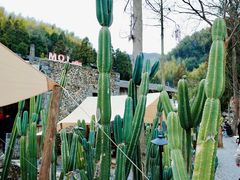 -MOJ coffee(瓯海泽雅水碓坑店)