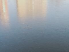 -迎泽公园