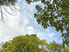 -南国桃园旅游度假区