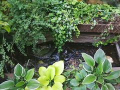 -泉乐坊步行街(烟酒特产平价超市店)