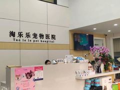 -凯瑞希宠物医院·狂犬免疫·微创·皮肤科