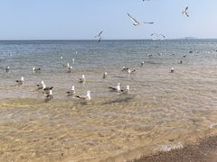 -那香海钻石沙滩浴场