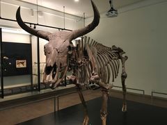 -丹麦国家博物馆