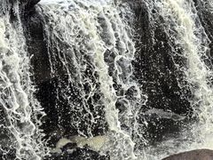 -五营红松林海景区