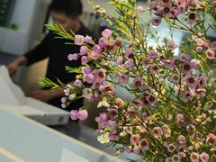 -美丽心情(奥体店)