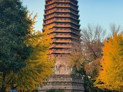 -玲珑塔公园