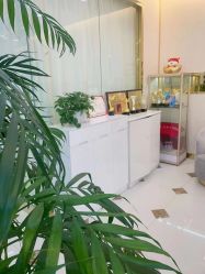 -CICI纤美·科技减肥美容