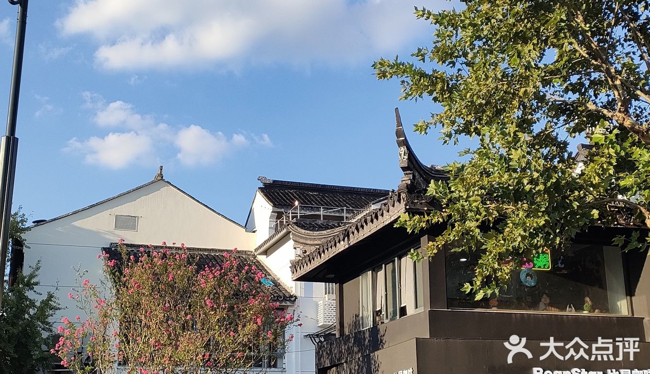 花树旁的咖啡厅