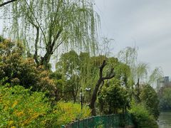 -黄兴公园