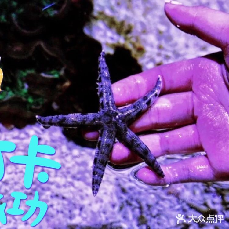 这家萌宠乐园也太棒了吧，还可以抱抱小动物！