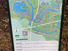 -海珠湖公园