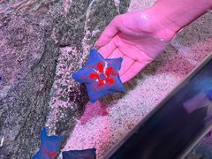 -沈阳海洋探索中心