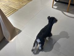 -肆兮眼镜·蔡司·徕卡战略合作店(大坪店)