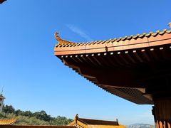 -深圳仙湖植物园