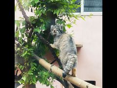 -青藏高原野生动物园