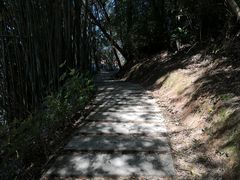 -广州市流溪河国家森林公园