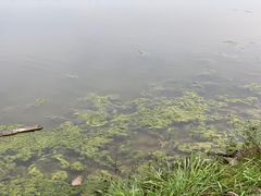 -春花秋色城市公园