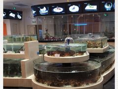 -白金汉爵大酒店-24小时餐厅