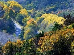 -阳台山自然风景区