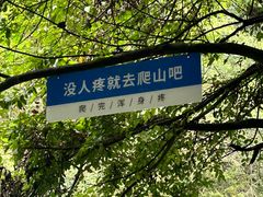 -石台牯牛降景区