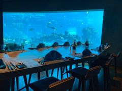 -海棠湾洲际-涛·海底餐厅·美人鱼·自助餐·海底隧道