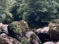 -龙苍沟森林公园