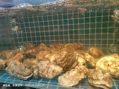 -冀粤香海鲜自助餐厅(西美五洲店)
