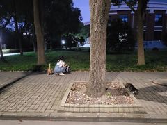 -华东政法大学(松江校区)