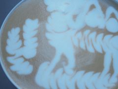 -LOTTA COFFEE(安居博文苑店)