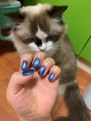 -斯馨·健康美甲美睫