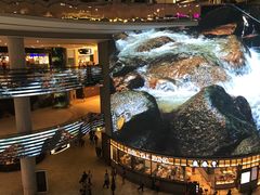 -鼎泰丰(云顶高原店)