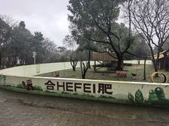 -合肥野生动物园