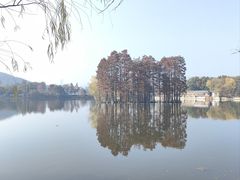 -东湖食堂·湖景餐厅•会议