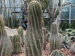 -郑州植物园