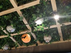 -娄三少春饼·烤鸭(合生汇购物中心店)